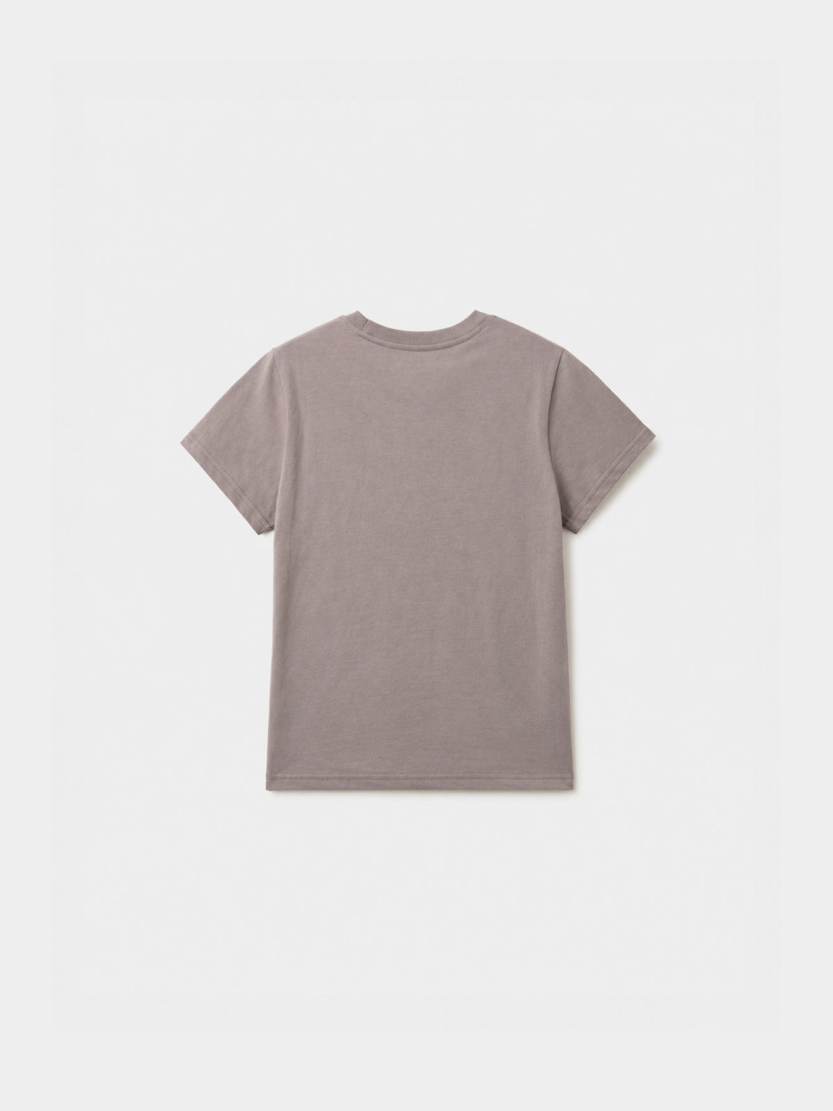 Weather in Waves Tee (Smoky Beige)