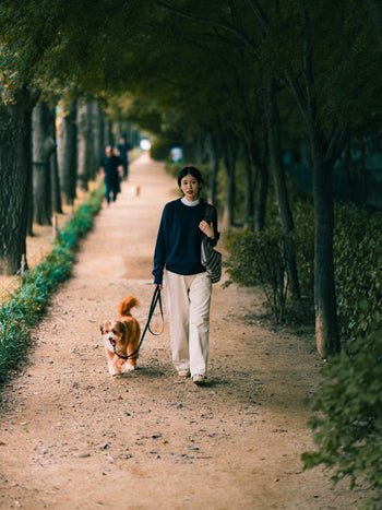 Yak Wool Crewneck Sweater (Navy)